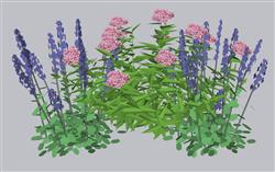 灌木花草植物SU模型