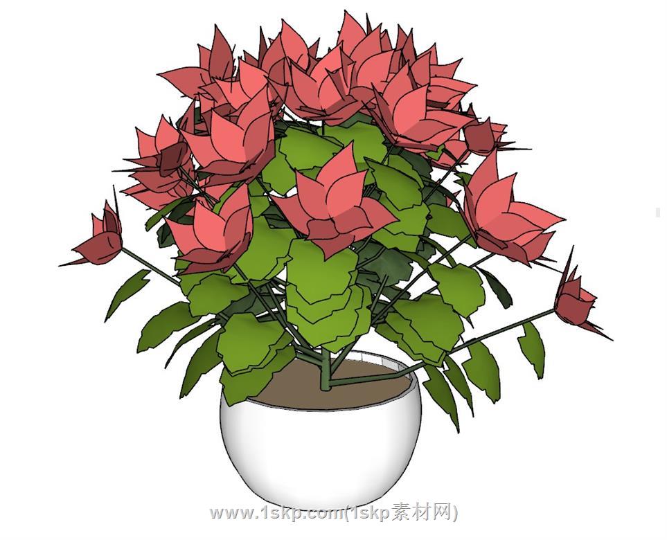 花盆植物SU模型