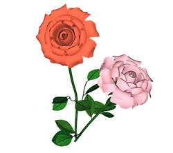 玫瑰花插花SU模型