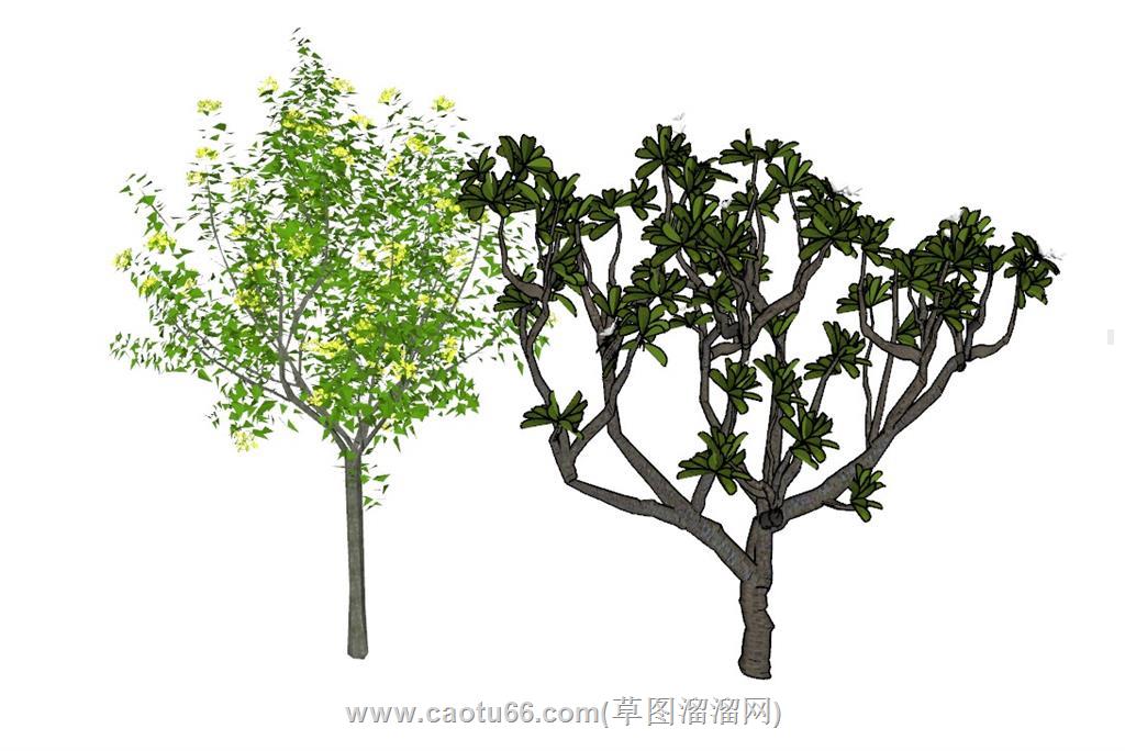 树木配景SU模型