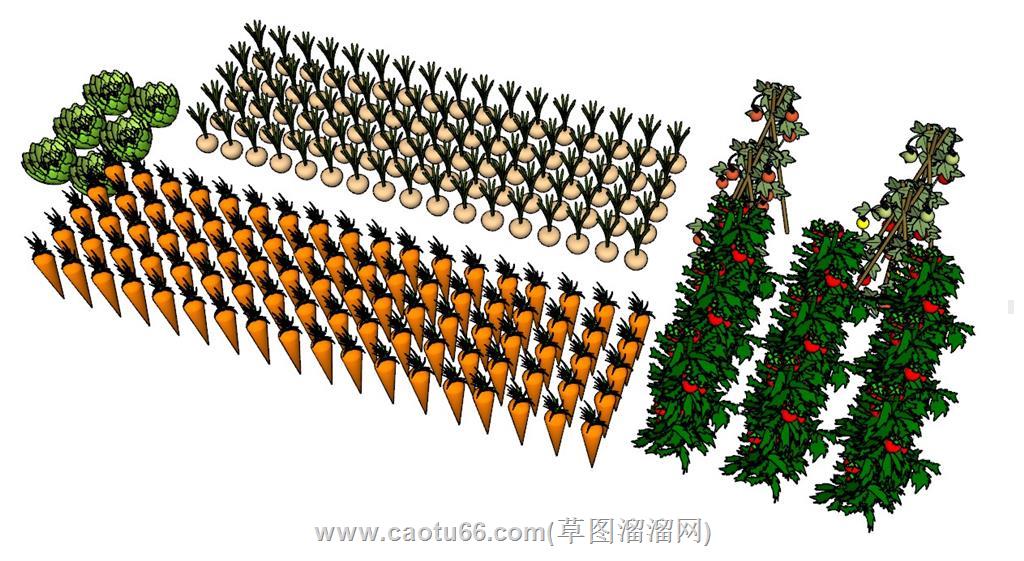 萝卜西红柿蔬菜SU模型