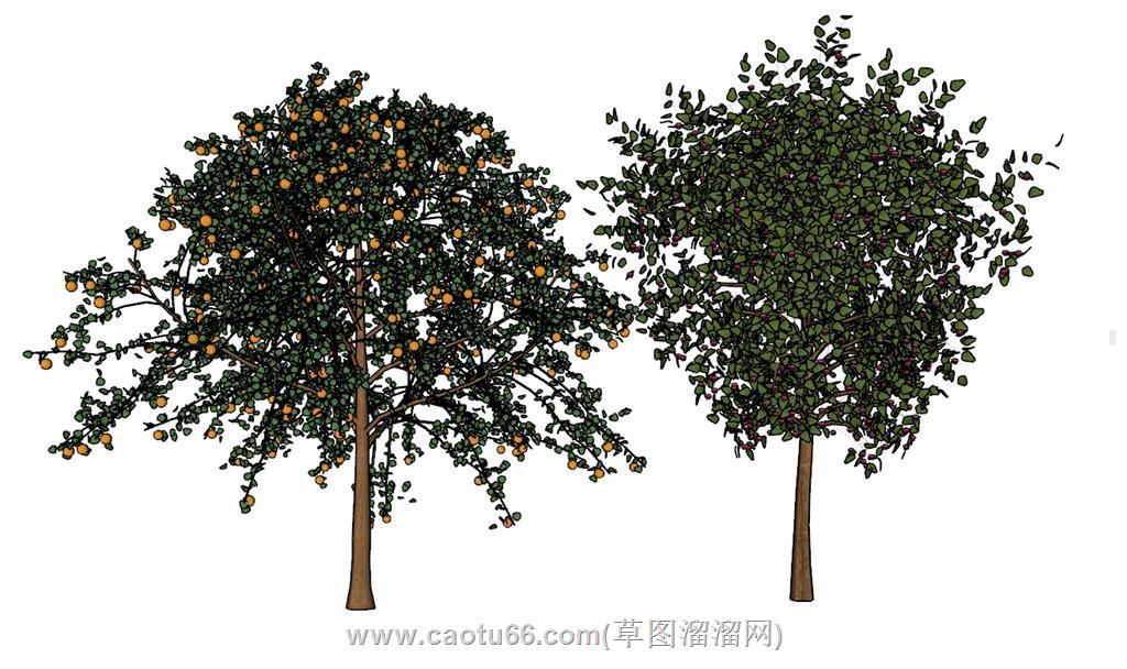 果树树木SU模型