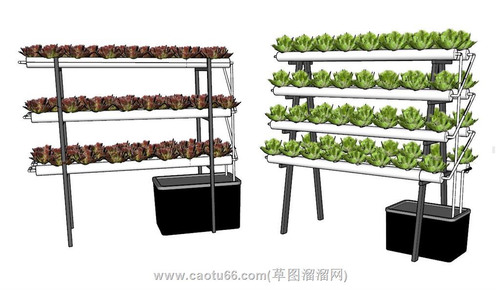 水培蔬菜植物SU模型