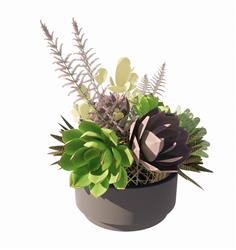 多肉花盆植物SU模型