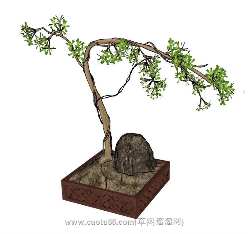 盆栽盆景SU模型