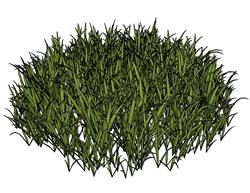 草丛草堆SU模型
