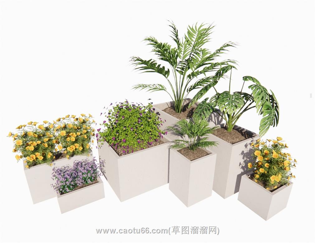 花盆植物SU模型