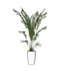 花盆植物SU模型