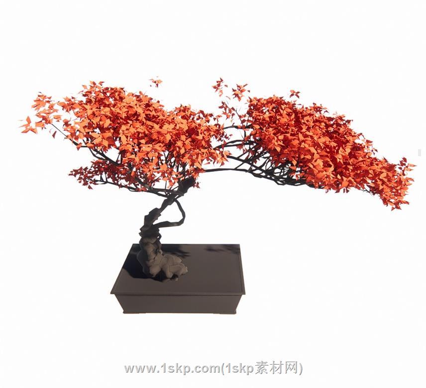 盆栽SU模型