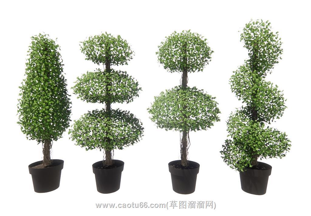 造型盆栽树SU模型