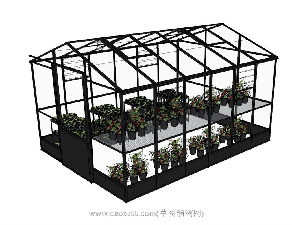 蔬菜植物大棚SU模型