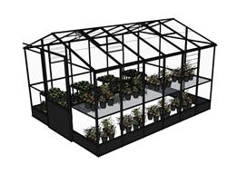 蔬菜植物大棚SU模型