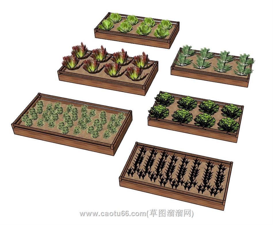 菜地蔬菜SU模型