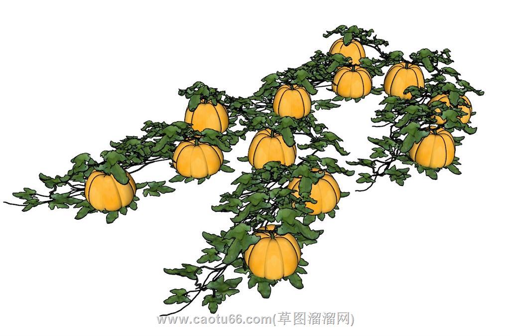 南瓜蔬菜菜地SU模型