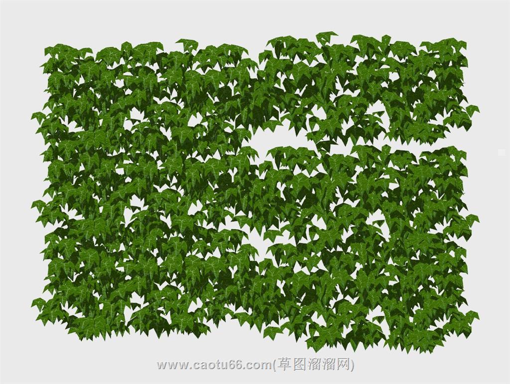 绿叶蔓藤植物SU模型
