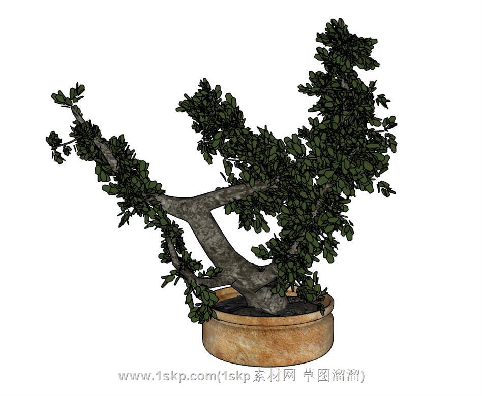 盆栽花盆SU模型