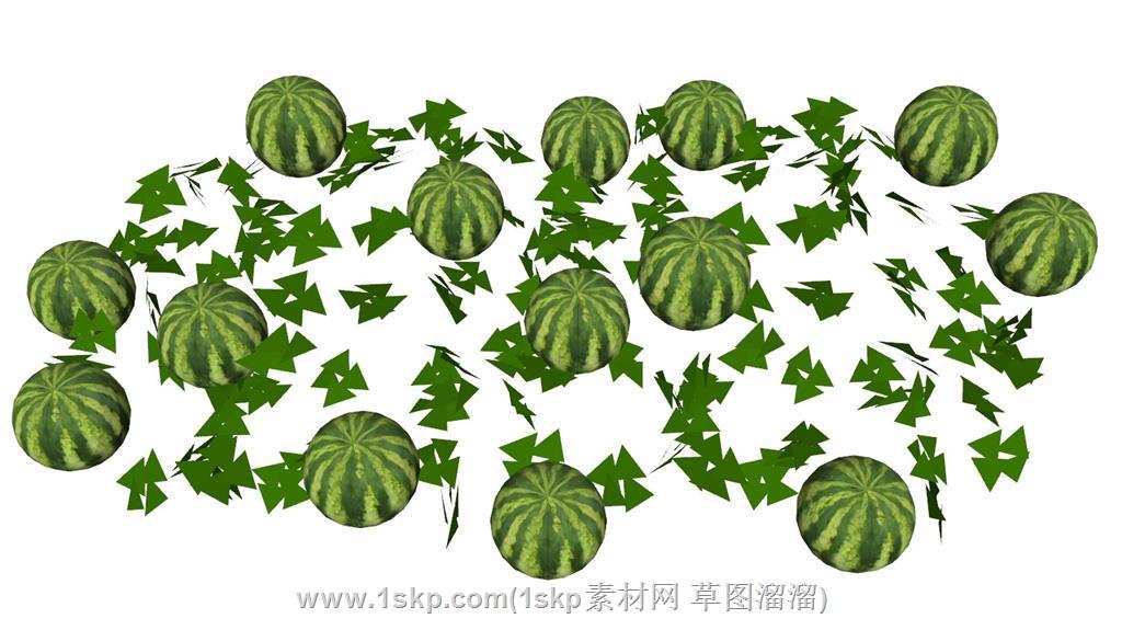 西瓜SU模型