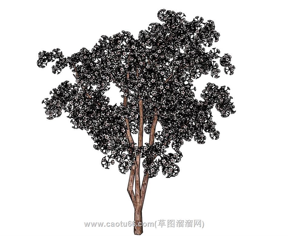 景观树树木SU模型