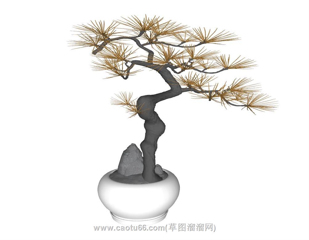 中式盆景盆栽SU模型