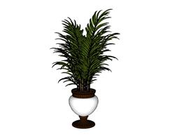 花盆植物SU模型