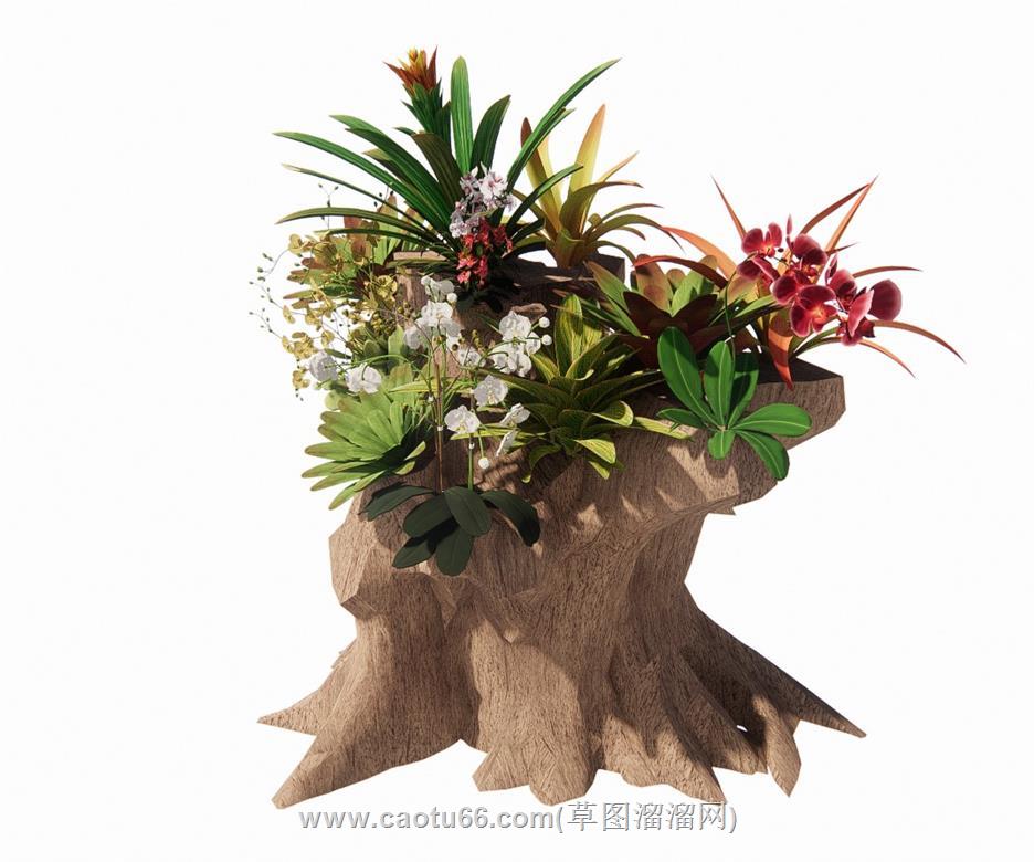 树墩植物盆景SU模型