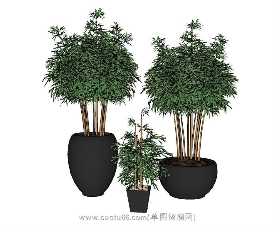 盆景盆栽植物SU模型