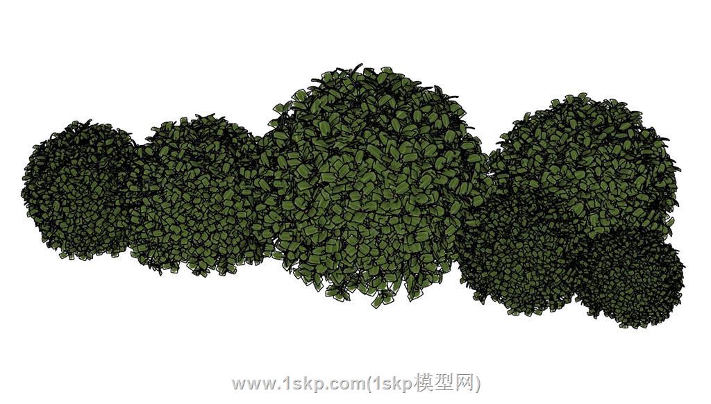 灌木草丛绿植SU模型