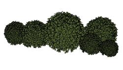 灌木草丛绿植SU模型