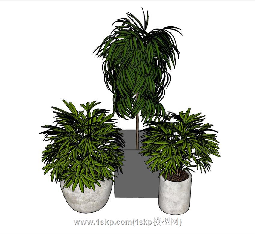 花盆植物SU模型