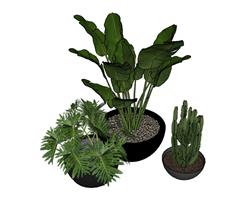 花盆植物SU模型