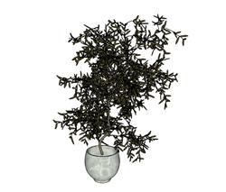 花盆盆景植物SU模型