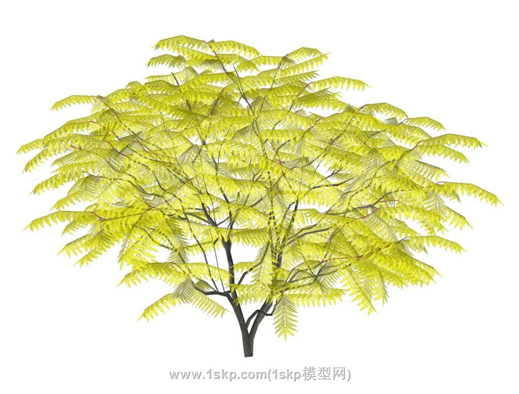 树木植物SU模型