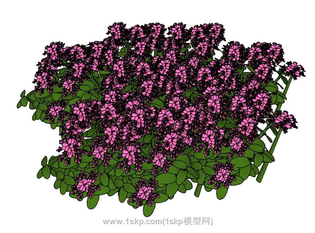 灌木花草植物SU模型