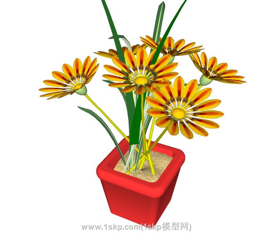 花盆.鲜花.菊花SU模型