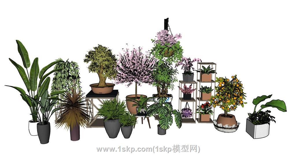 花盆植物盆栽SU模型