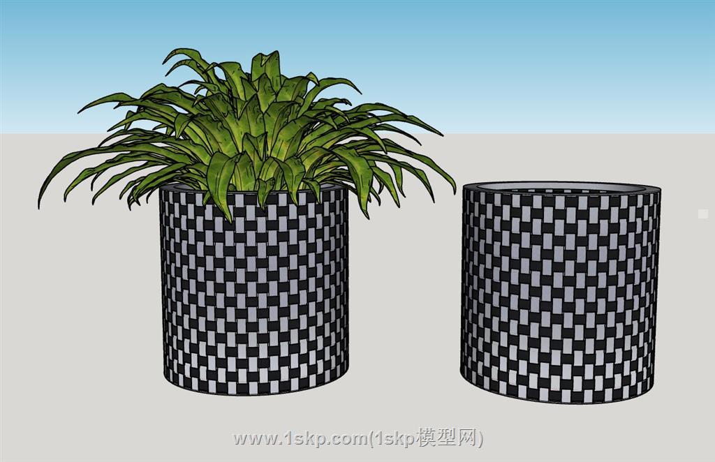 花盆植物SU模型