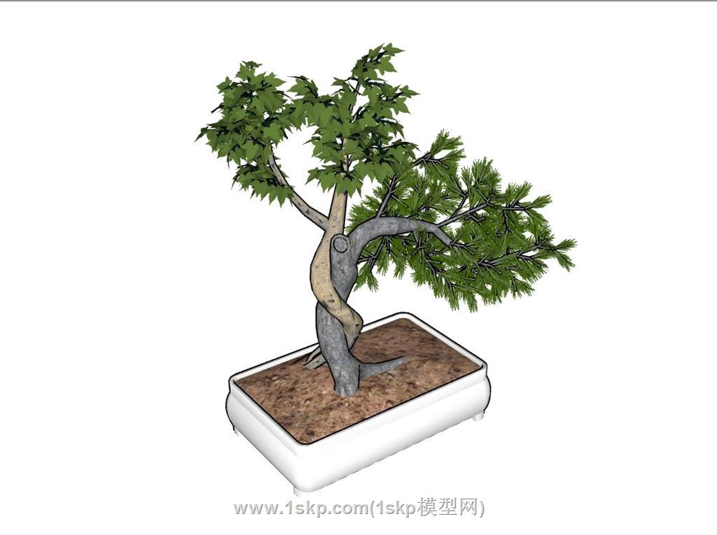 中式盆栽盆景SU模型