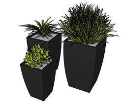 花盆植物SU模型