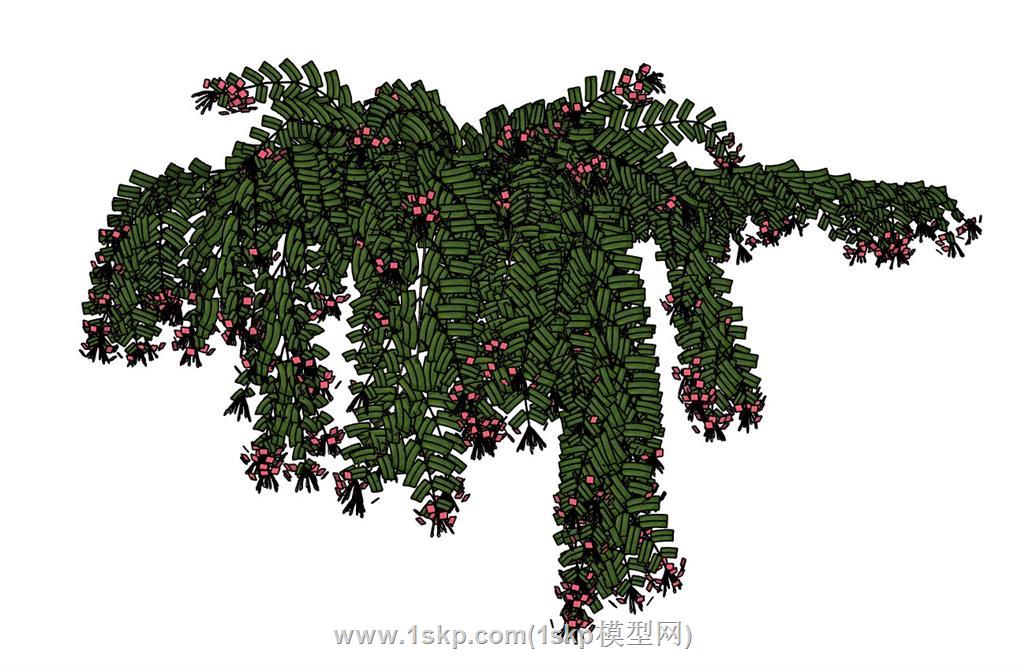 蔓藤植物SU模型