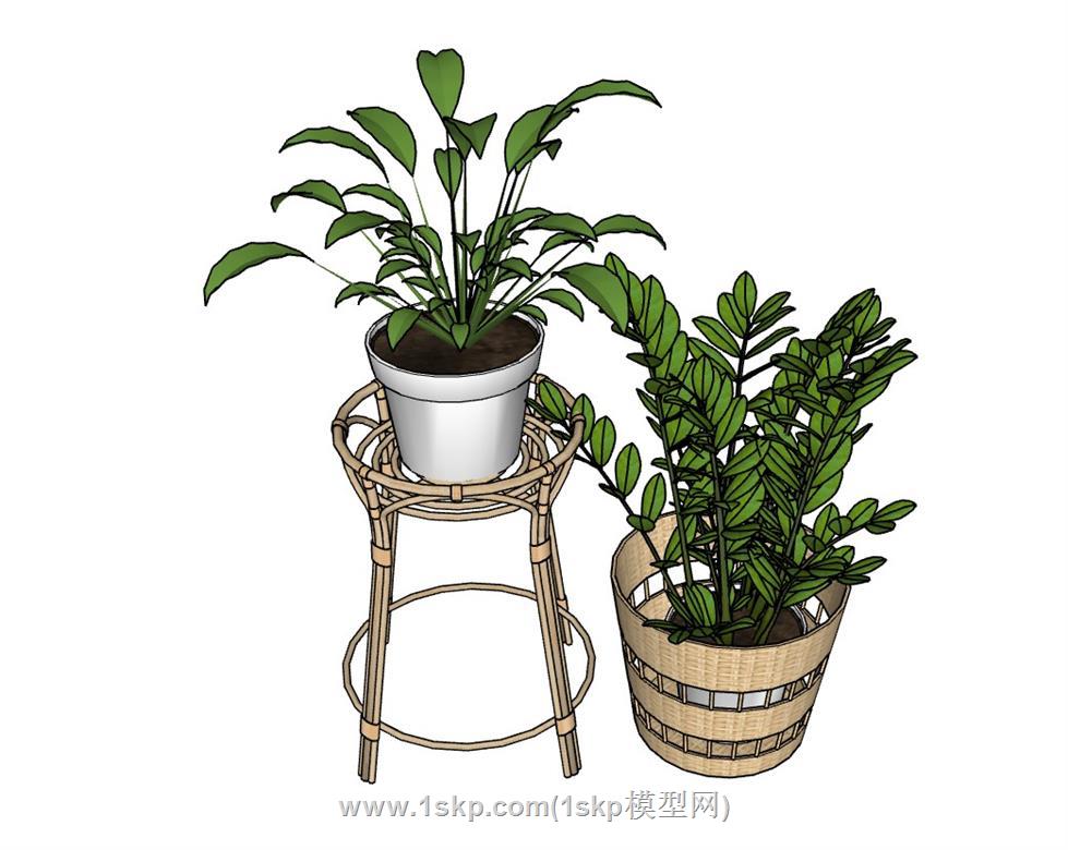 花盆花架SU模型