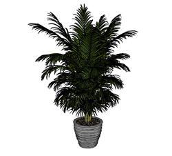 盆栽花盆植物SU模型