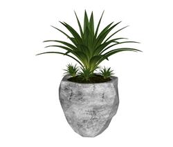 花盆植物SU模型
