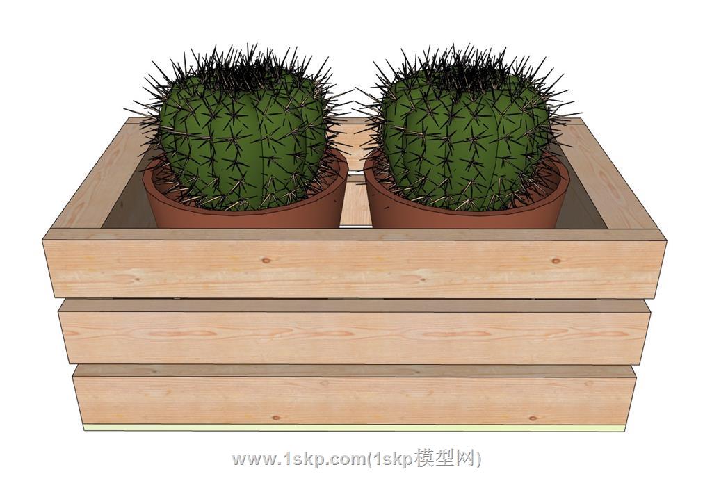 仙人球花盆SU模型