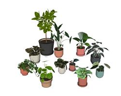 花盆植物SU模型