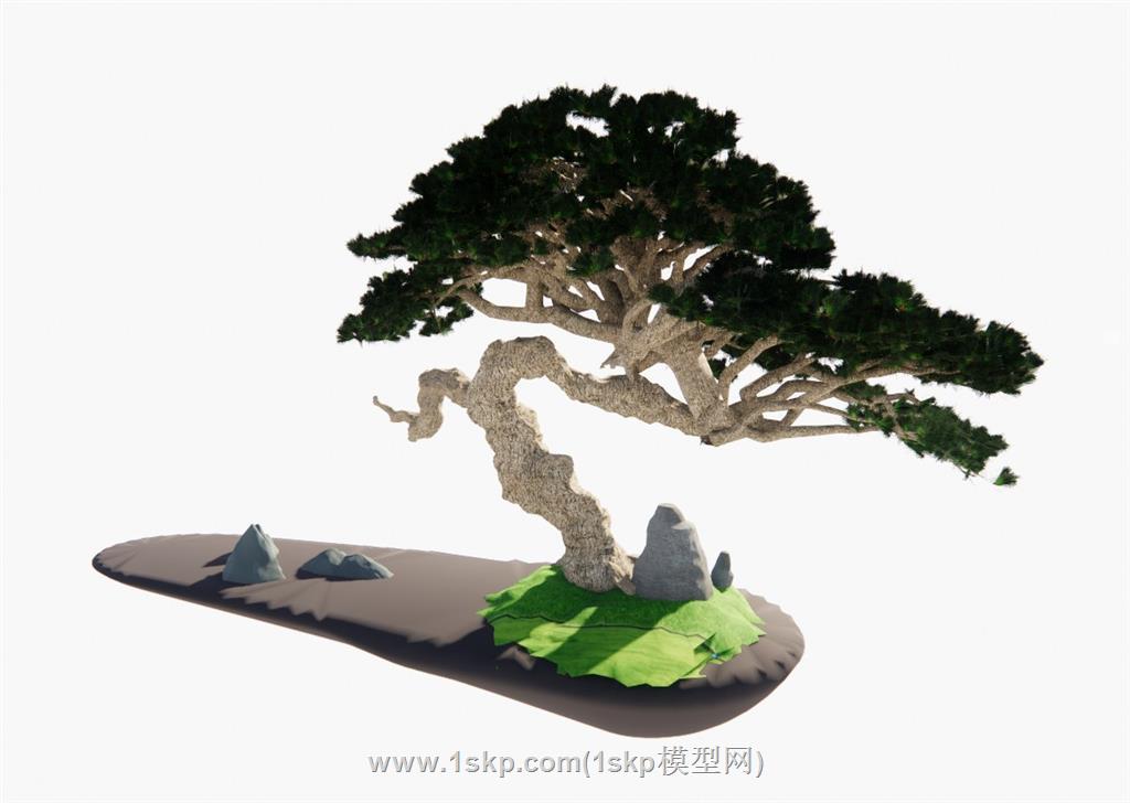 盆栽松树SU模型