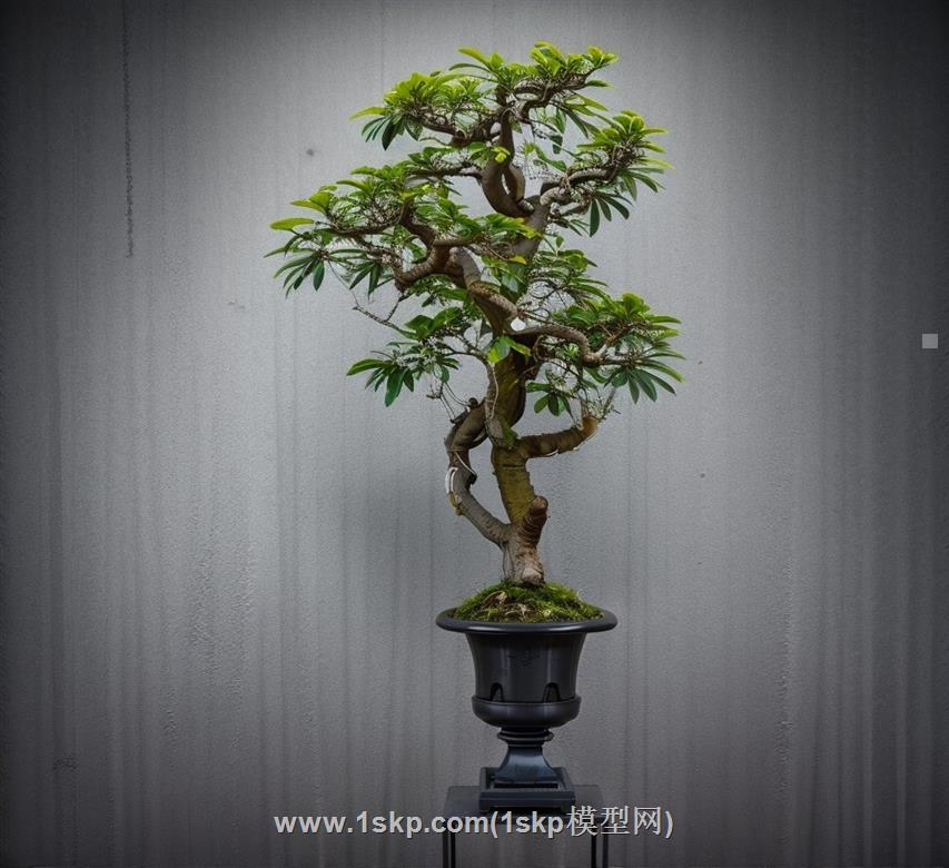 盆景花盆SU模型