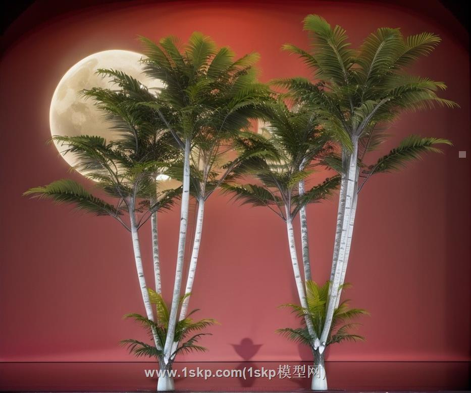 棕树树木SU模型