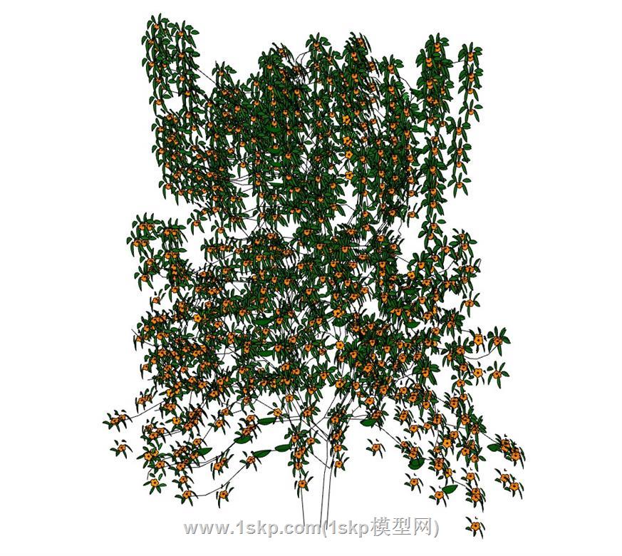 爬藤蔓藤植物SU模型