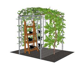 爬藤花架SU模型