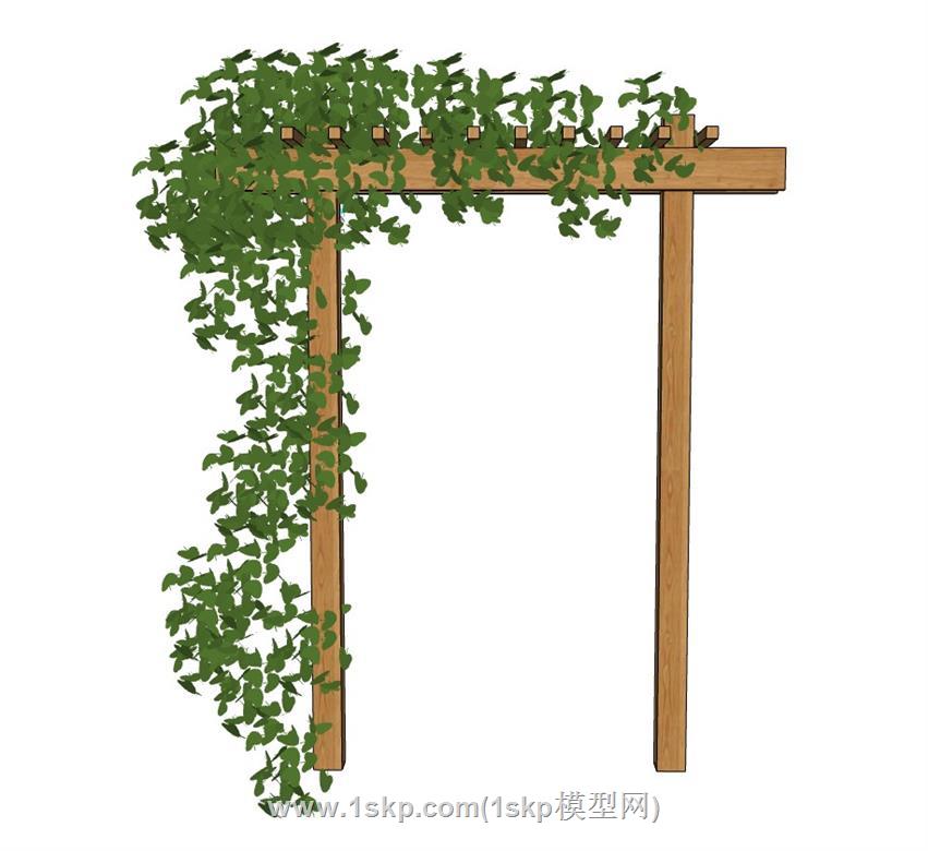 爬藤蔓藤SU模型